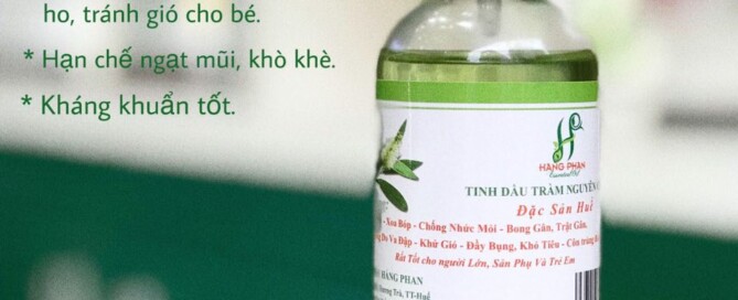 Tinh dầu Hằng Phan sẽ chỉ ra những đặc điểm giúp bạn có cách nhận biết tinh dầu Tràm nguyên chất