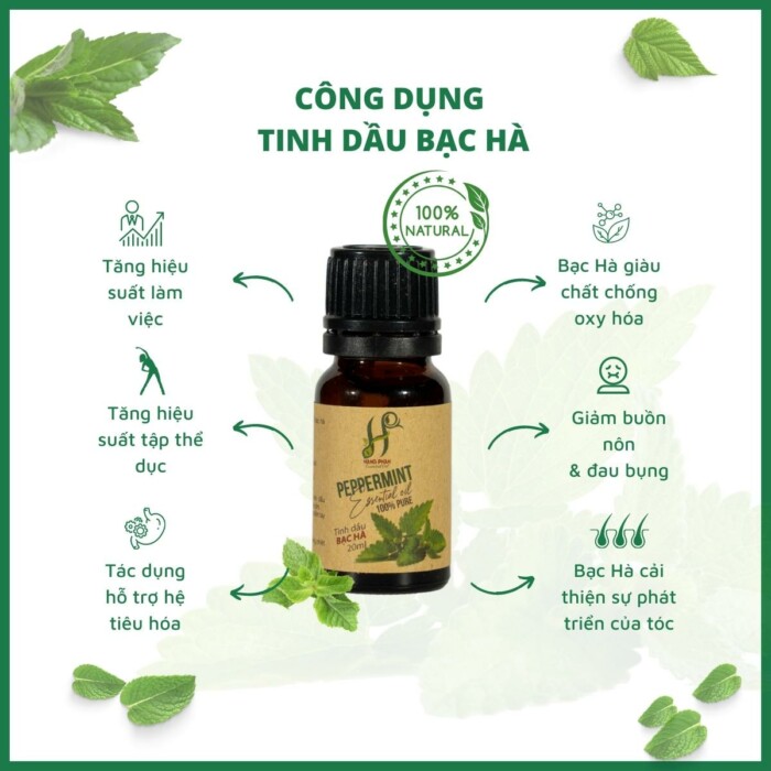 Tinh dầu Bạc Hà - Ảnh 3