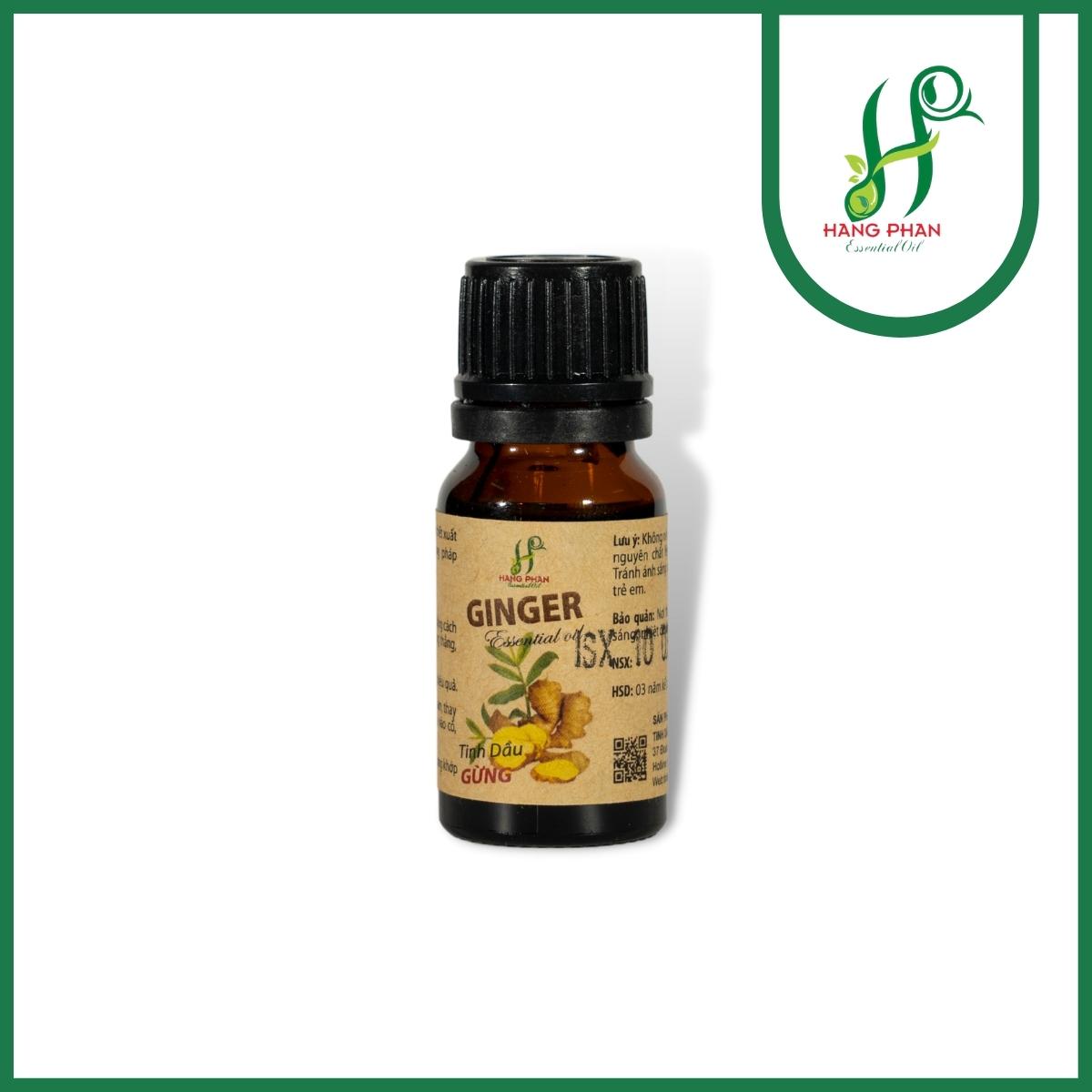 TINH DẦU & THÚ CƯNG: LOẠI NÀO AN TOÀN, LOẠI NÀO HẠN CHẾ? 5 Tinh dau gung