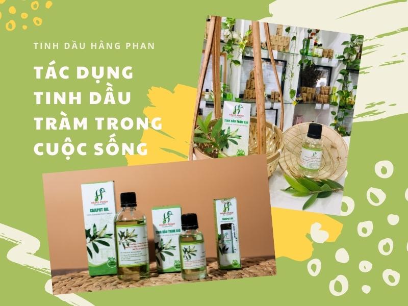 Tinh dầu Hằng Phan sẽ giới thiệu các tác dụng của tinh dầu Tràm trong cuộc sống.
