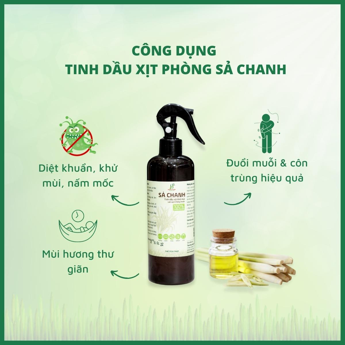 Tinh dầu xịt khử mùi, đuổi muỗi Sả chanh 6 Tinh dầu Hằng Phan giới thiệu sản phẩm mới tinh dầu xịt khử mùi Sả chanh