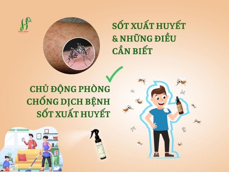 Cách phòng bệnh sốt xuất huyết