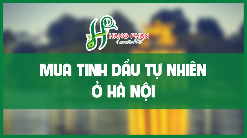 Mua tinh dầu tự nhiên ở Hà Nội