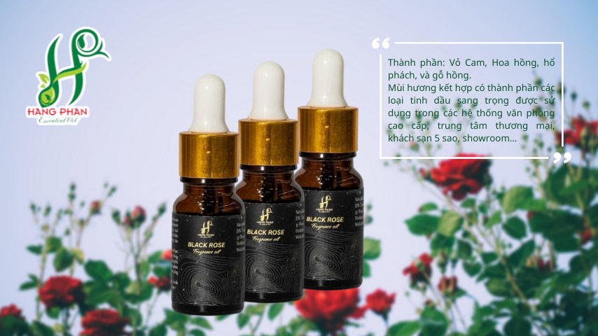 Dòng tinh dầu cao cấp cho nhà hàng, khách sạn: Sự lựa chọn hoàn hảo để tạo nên không gian sang trọng 3 bán tinh dầu cao cấp Black Rose