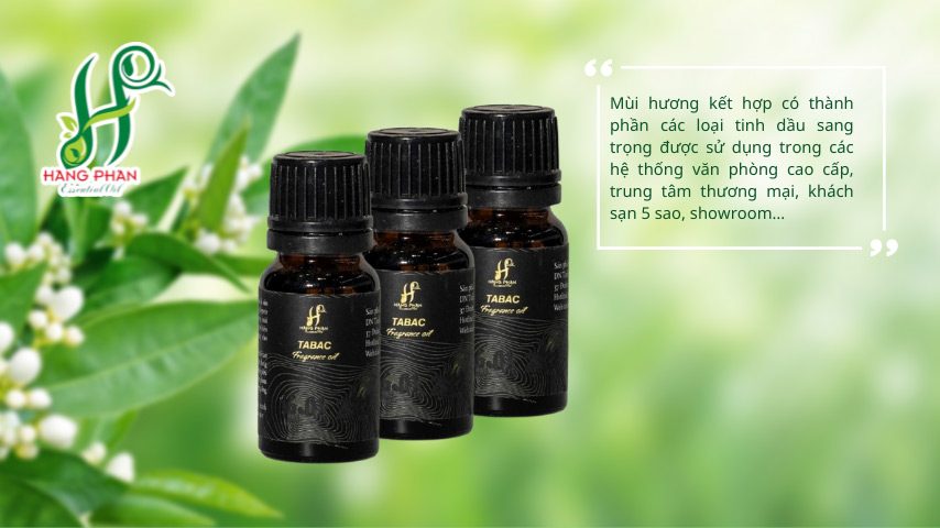 Dòng tinh dầu cao cấp cho nhà hàng, khách sạn: Sự lựa chọn hoàn hảo để tạo nên không gian sang trọng 6 Tinh dầu cao cấp Tabac