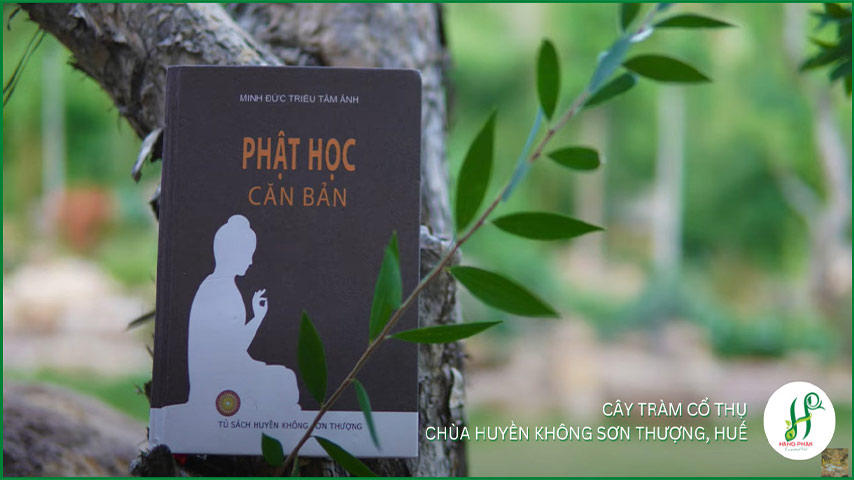 nguồn gốc tràm Huế