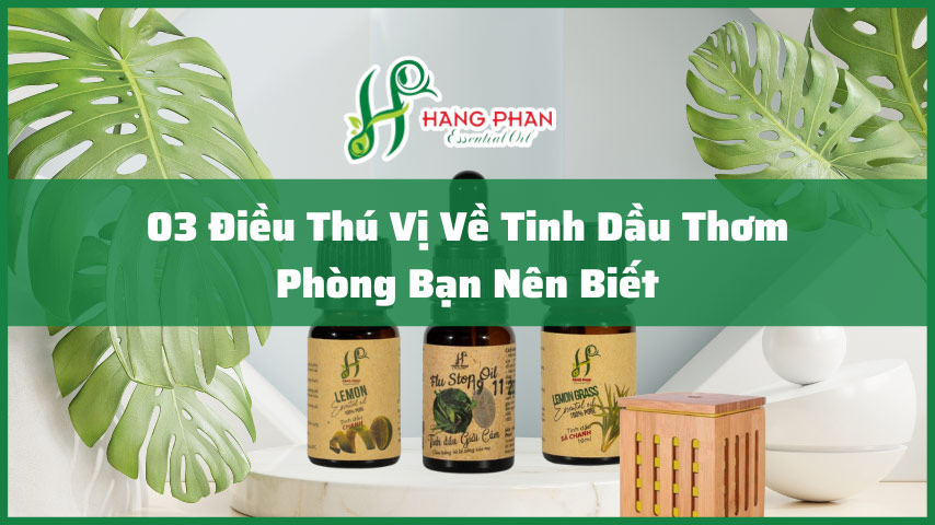 tinh-dau-thom-phong-dai-dien tinh dầu thơm phòng