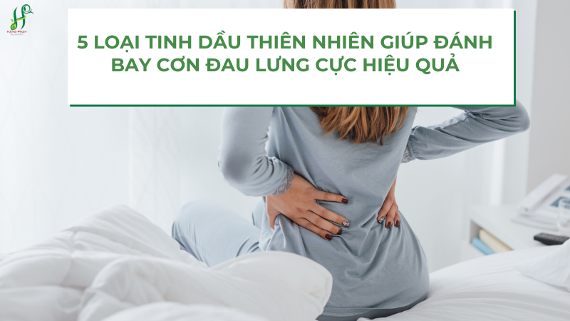tinh-dau-tri-dau-lung tinh dau tri dau lung