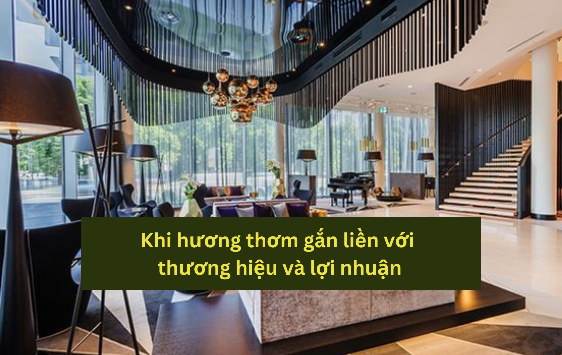 tac-dung-cua-tinh-dau-trong-kinh-doanh tac dung cua tinh dau trong kinh doanh 1