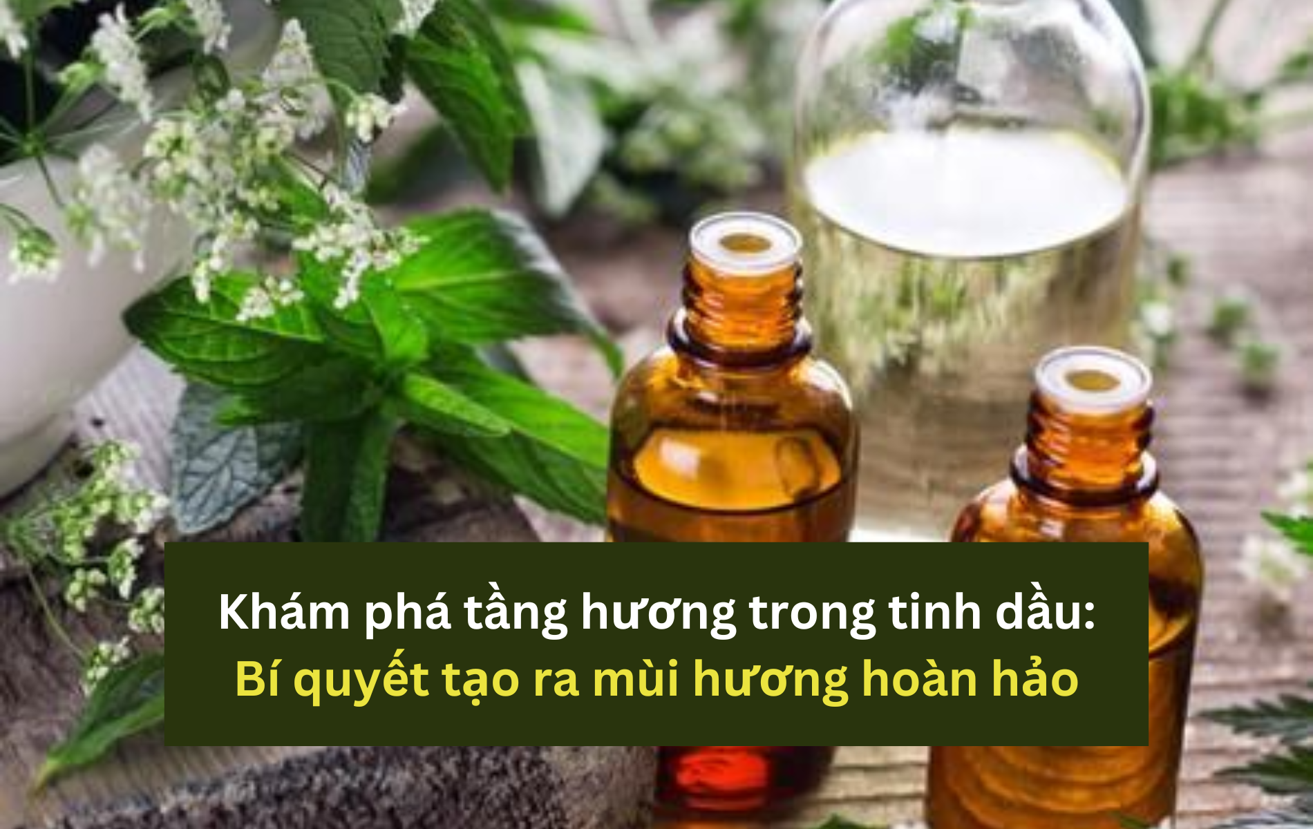 tầng hương trong tinh dầu