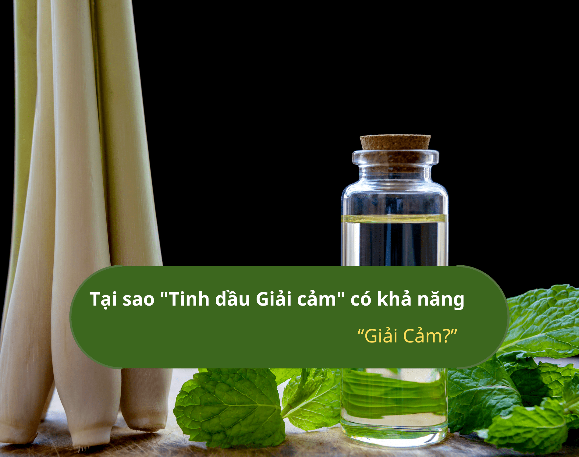 tai-sao-tinh-dau-giai-cam