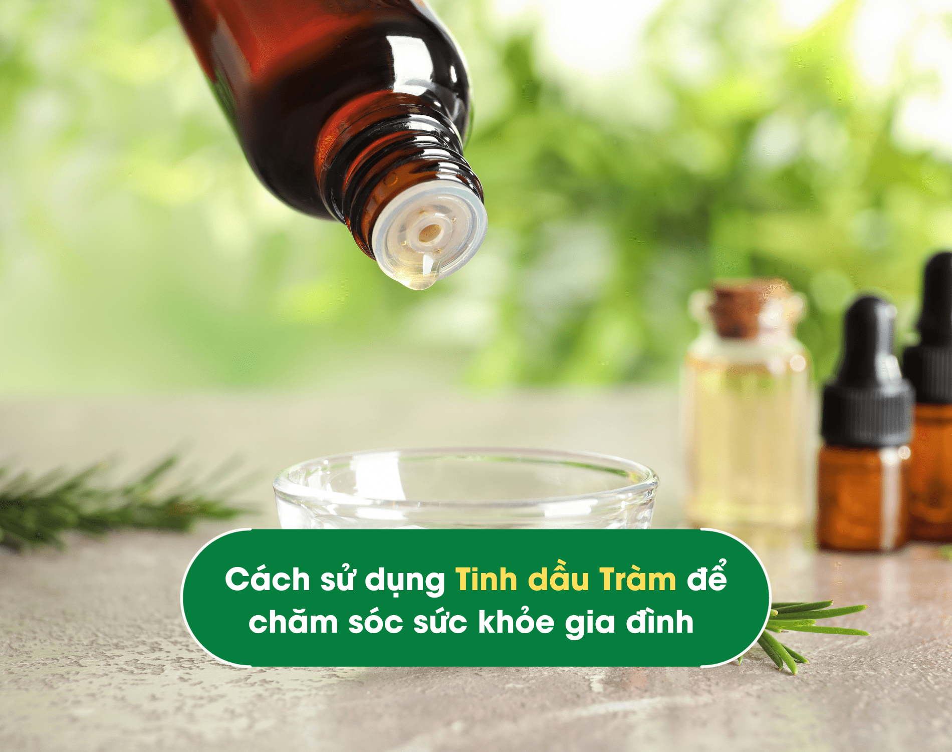 cach-su-dung-tinh-dau-tram-de-cham-soc-suc-khoe-gia-dinh-min cach su dung tinh dau tram de cham soc suc khoe gia dinh min