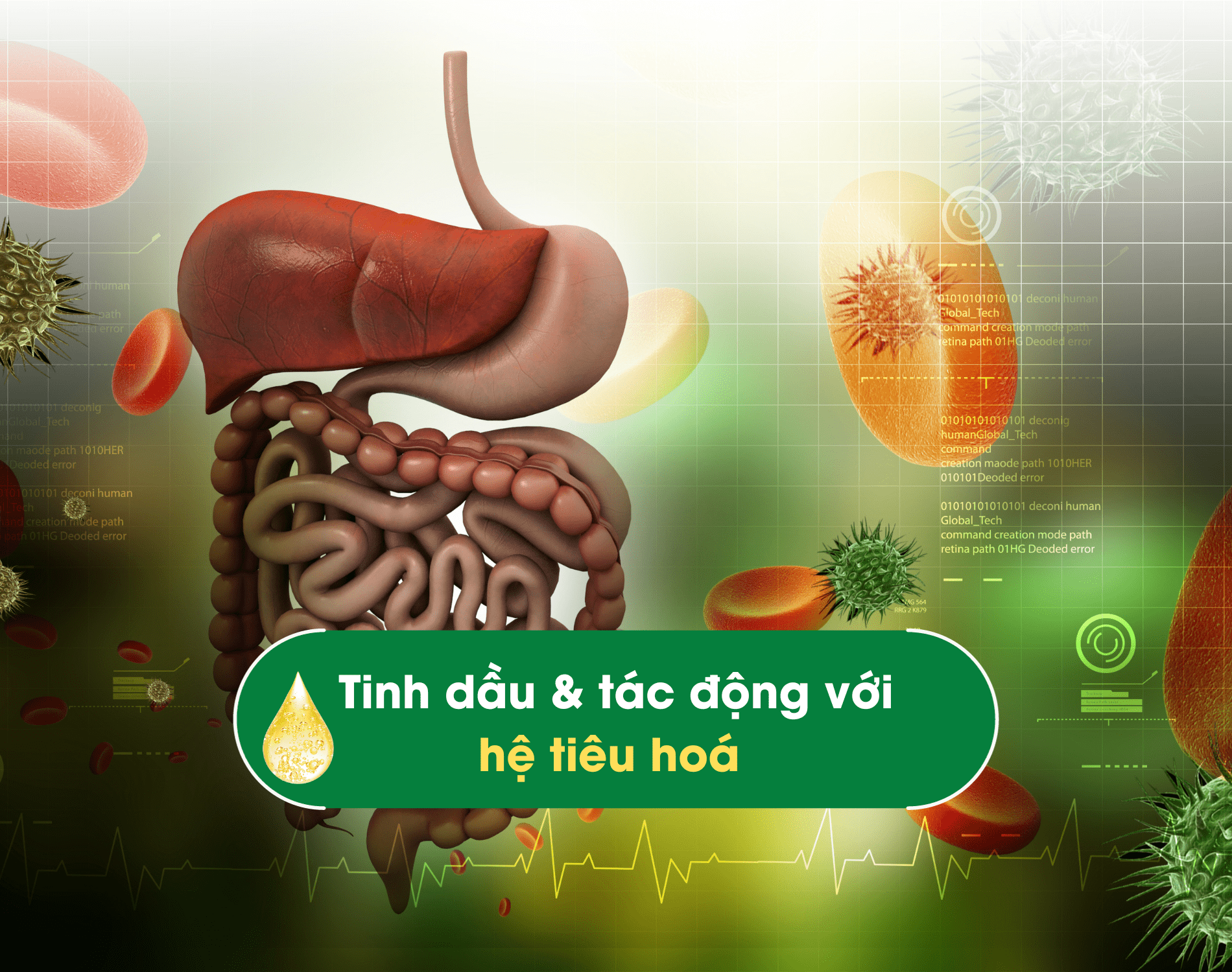 tinh-dau-&-tac-dong-voi-he-tieu-hoa