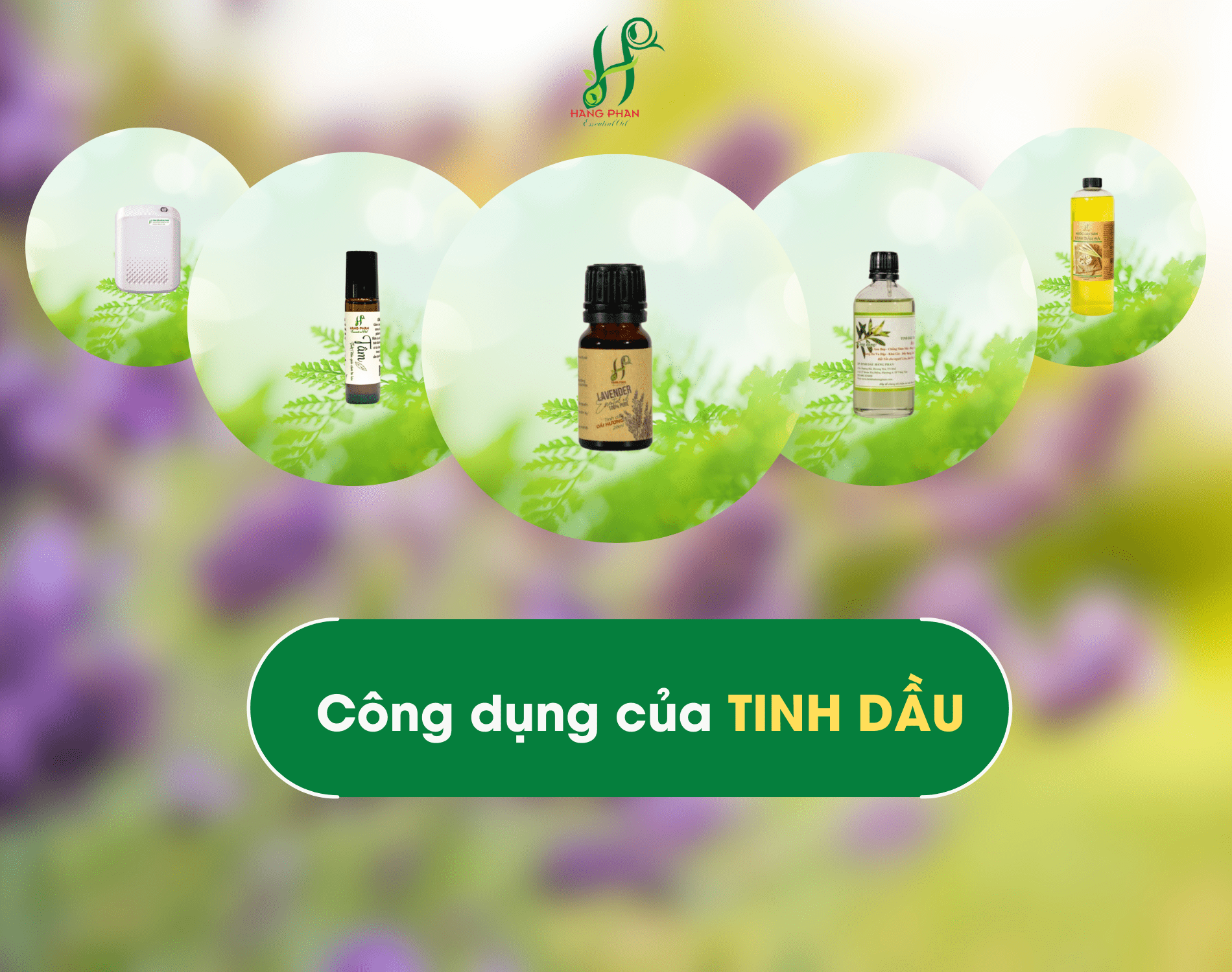 CONG-DUNG-CUA-TINH-DAU CONG-DUNG-CUA-TINH-DAU