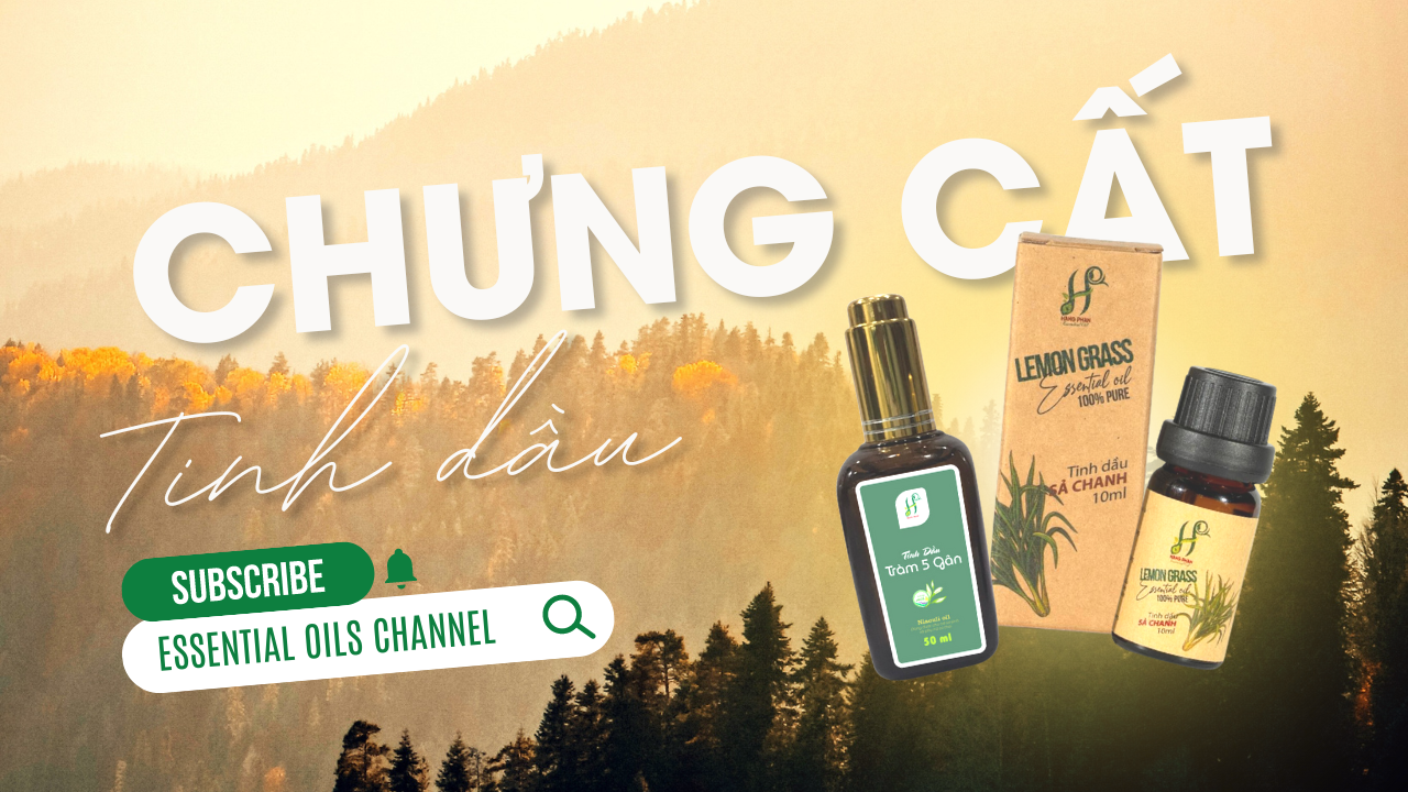 Tinh dầu Hằng Phan hướng dẫn cách chưng cất tinh dầu