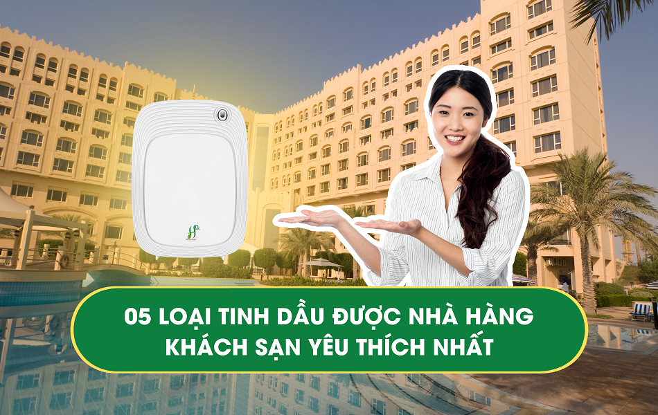 05-loai-tinh-dau-duoc-nha-hang-khach-san-yeu-thich-nhat 05 loại tinh dầu được Nhà hàng - Khách sạn yêu thích nhất