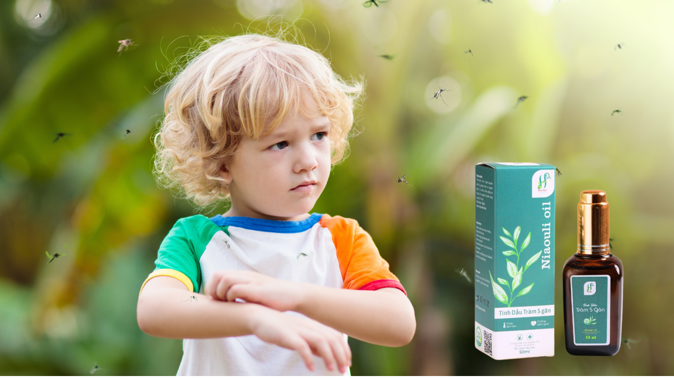 Tinh dầu Tràm năm gân - Sự kỳ diệu đến từ thiên nhiên 5 Tinh dầu tràm năm gân