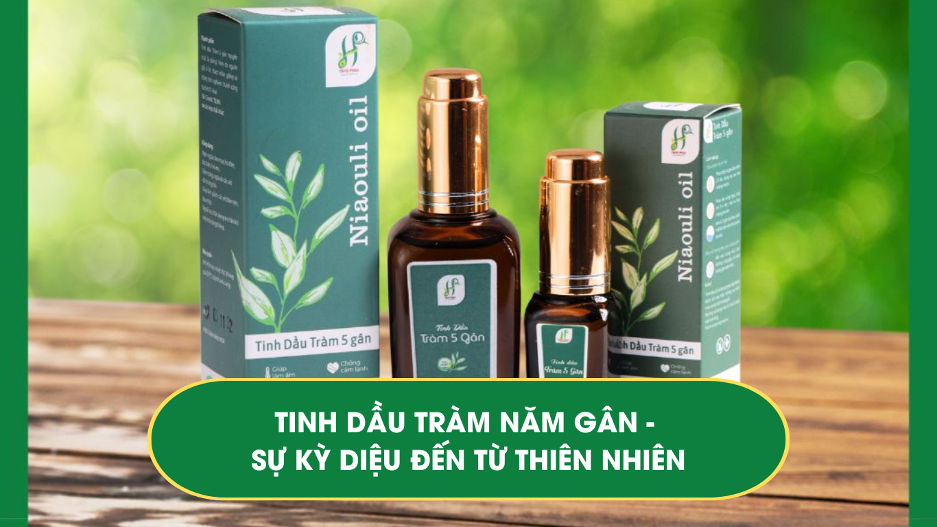 Tinh dầu Tràm năm gân - Sự kỳ diệu đến từ thiên nhiên 7 Tinh dầu tràm năm gân