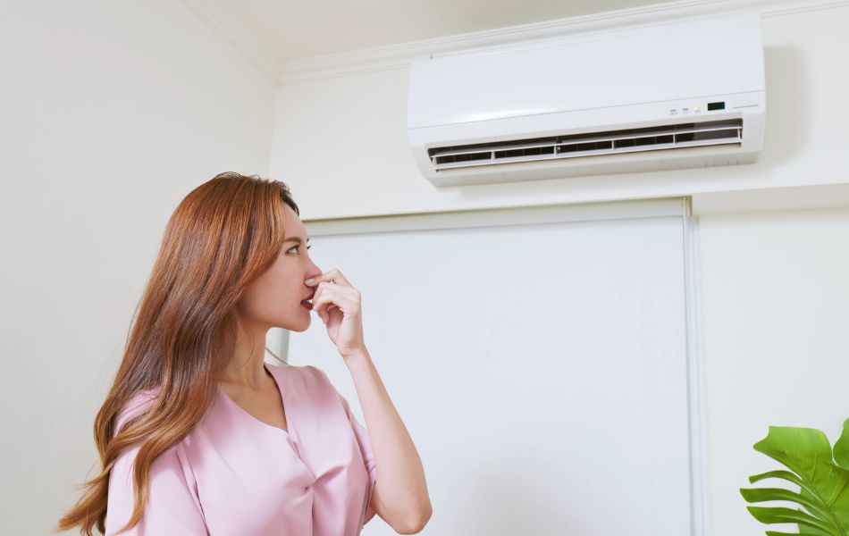 Mùi hôi tanh trong nhà có thể gây khó chịu, thậm chí ảnh hưởng sức khỏe