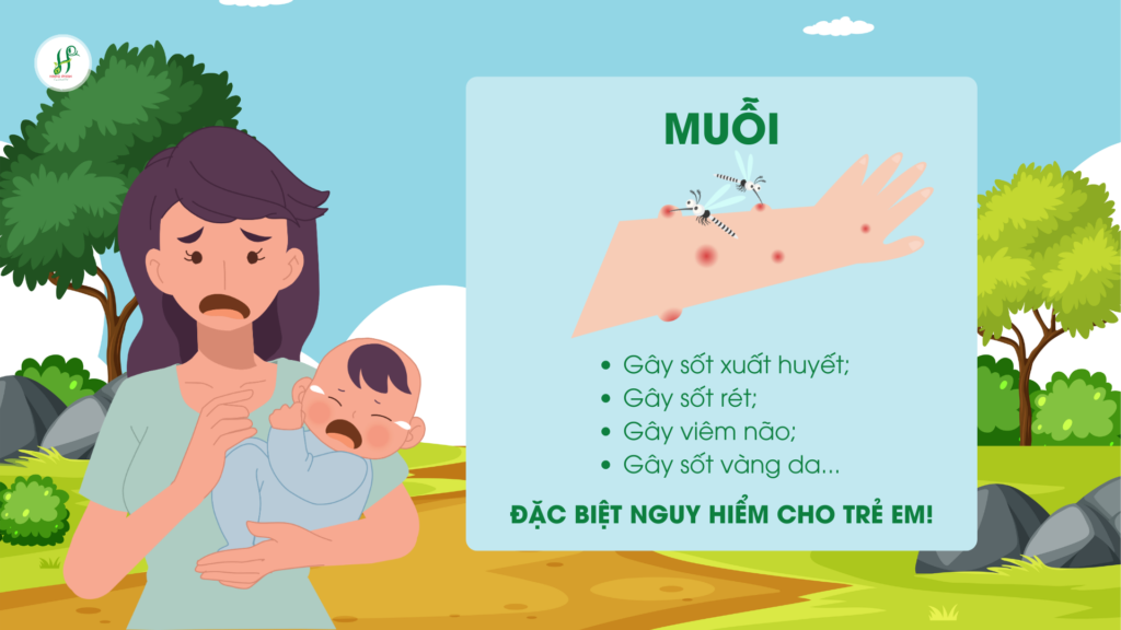 Eucalyptol trong Agimos – Cơ chế đuổi muỗi khoa học & hiệu quả! 3 Tại sao phải đuổi muỗi? Tác hại của muỗi với con người.