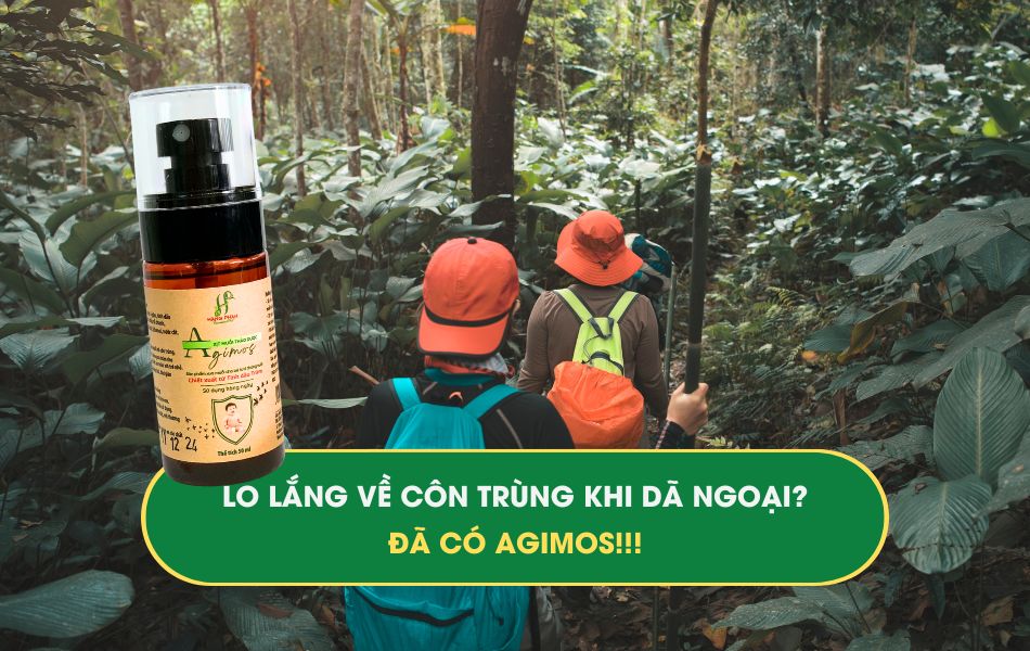 Cơ chế hoạt động của Tinh dầu Vegan Hằng Phan 7 Lo lắng về côn trùng khi dã ngoại? Đã có Agimos!