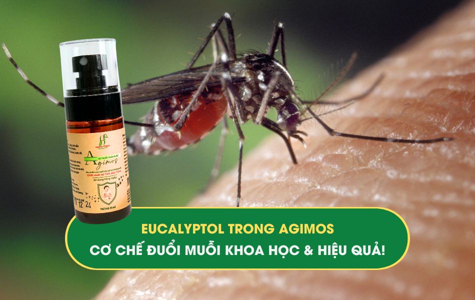 eucalyptol-trong-agimos-co-che-duoi-muoi-khoa-hoc-va-hieu-qua Eucalyptol trong Agimos- Cơ chế đuổi muỗi khoa học và hiệu quả
