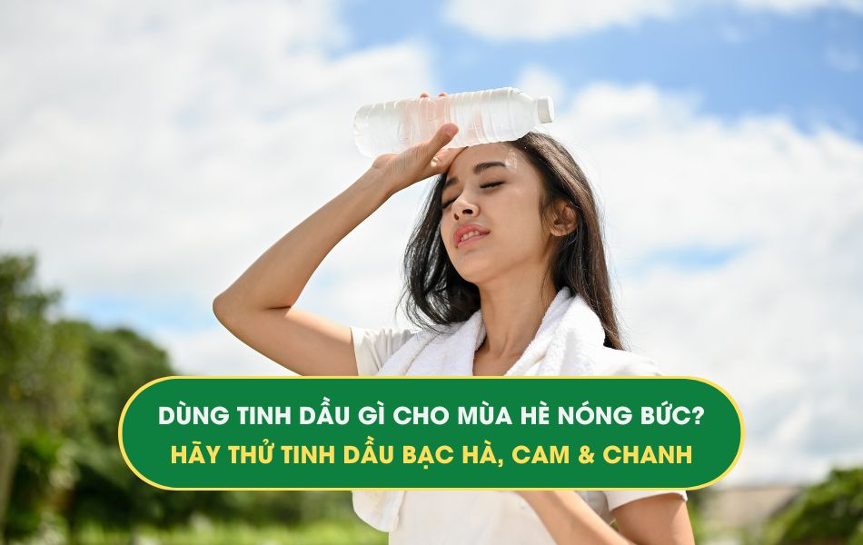 tinh dầu bạc hà, tinh dầu cam và tinh dầu chanh: Vượt qua mùa hè nóng bức