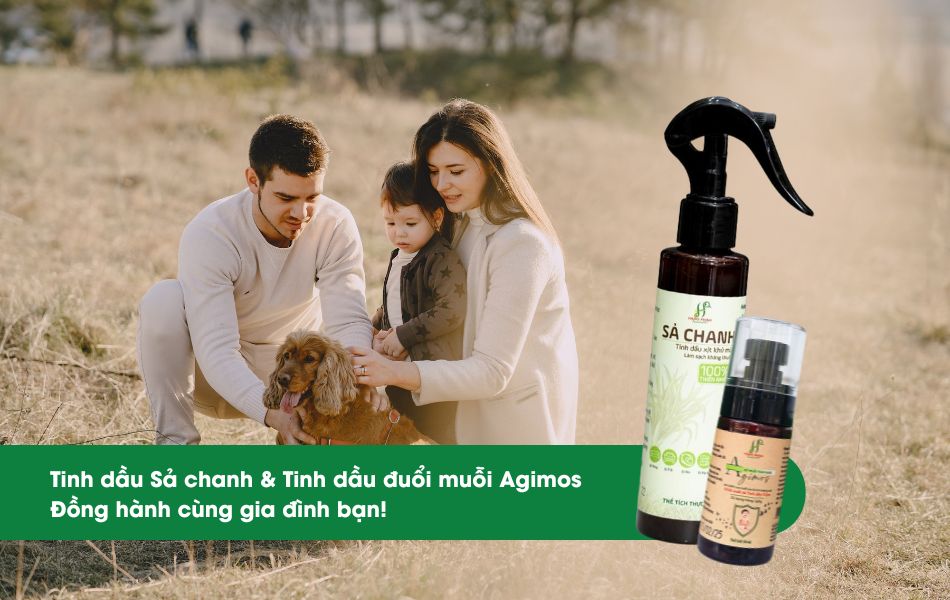 Xịt sả chanh & Agimos - cần thiết cho gia đình trong mùa nóng! 4 "Cặp đôi" Xịt sả chanh & Agimos - Bảo đảm an toàn sức khỏe gia đình bạn