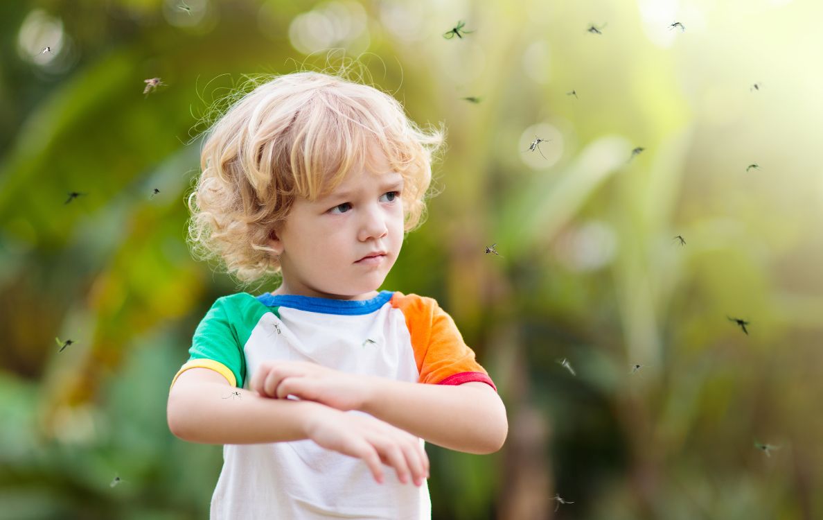 Côn trùng: Mối nguy hiểm luôn rình rập
