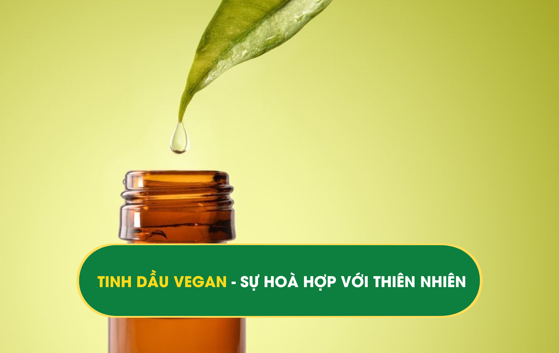 TINH DẦU VEGAN - SỰ HOÀ HỢP VỚI THIÊN NHIÊN