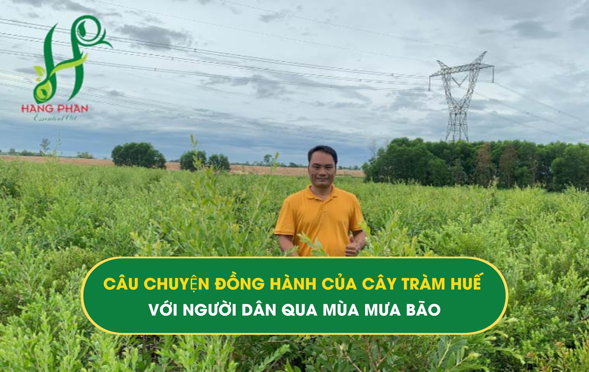 TRÀM HUẾ TRÀM HUẾ