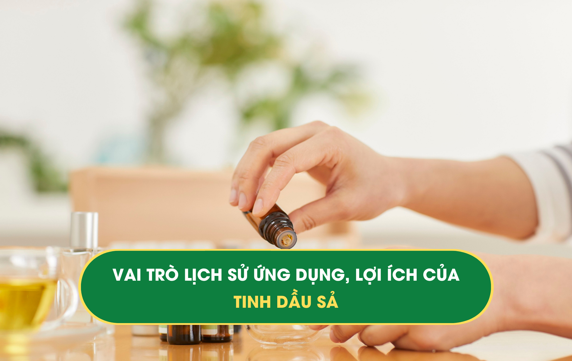 tinh dầu sả