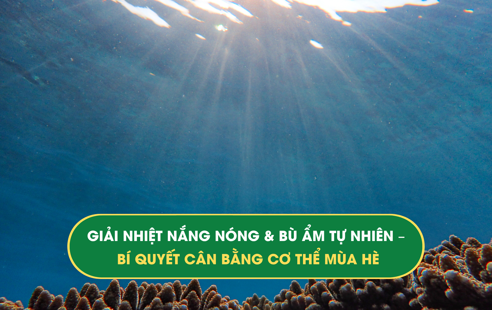 nắng nóng