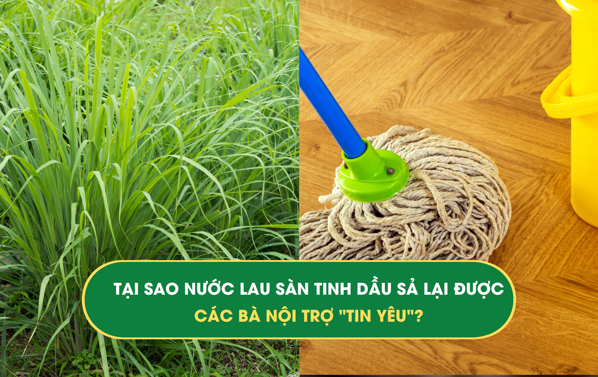 tinh dầu Sả