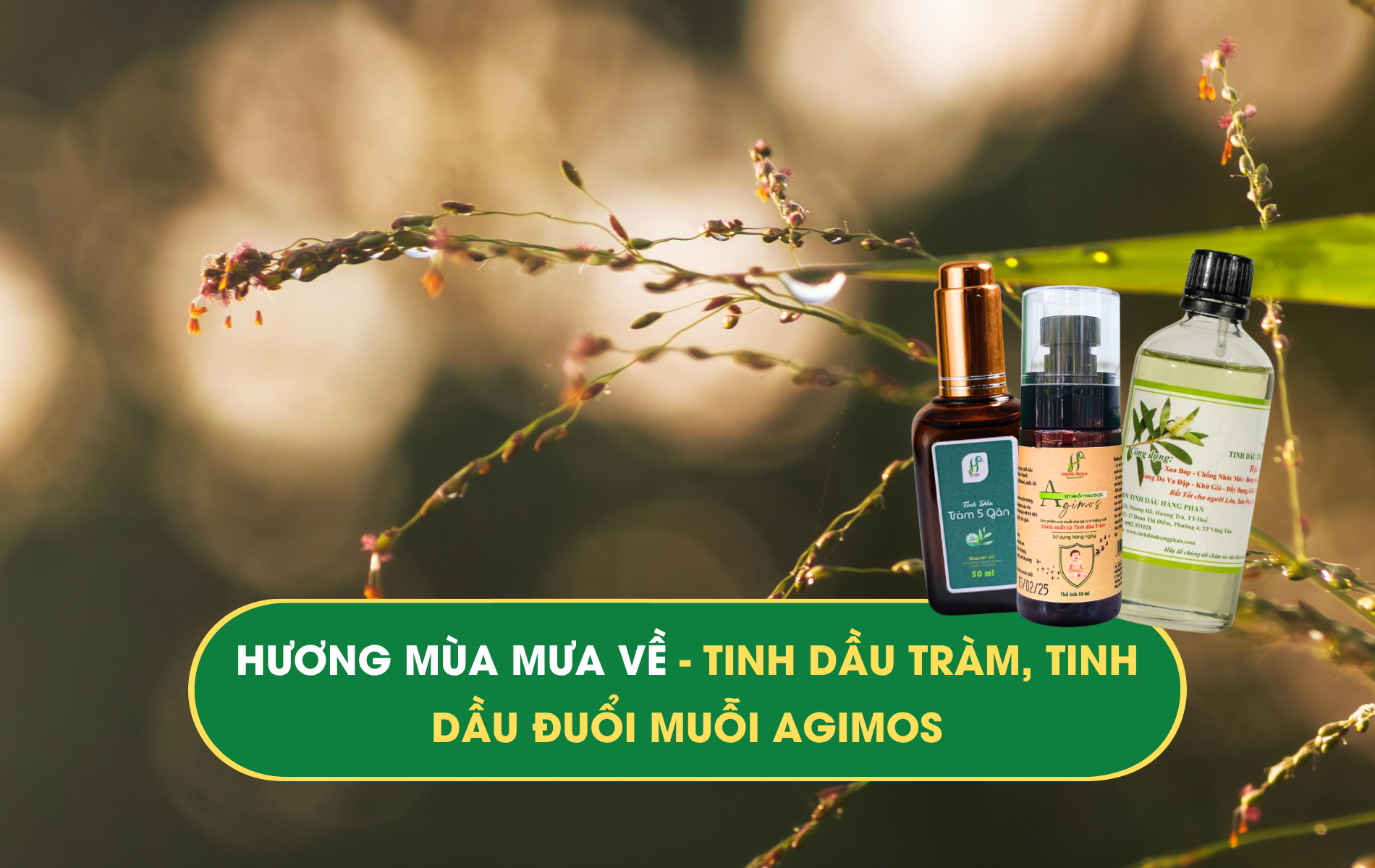 Mùa mưa