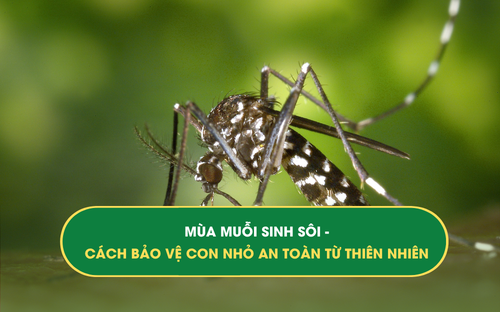 MUỖI