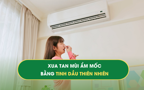 ẩm mốc
