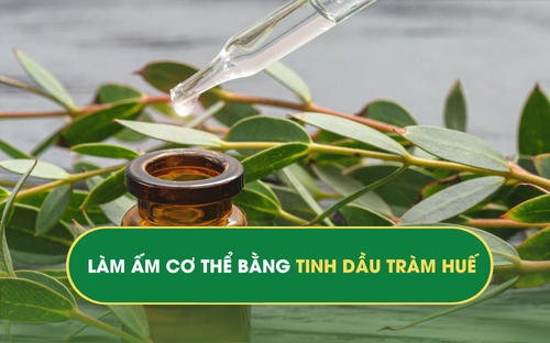 tinh dầu Tràm Huế