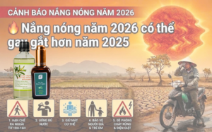 ẢNH HƯỞNG CỦA HIỆN TƯỢNG EI NINO 2026 ĐẾN HÔ HẤP & GIẢI PHÁP PHÒNG NGỪA TỪ TINH DẦU THIÊN NHIÊN 5 EI Nino 1